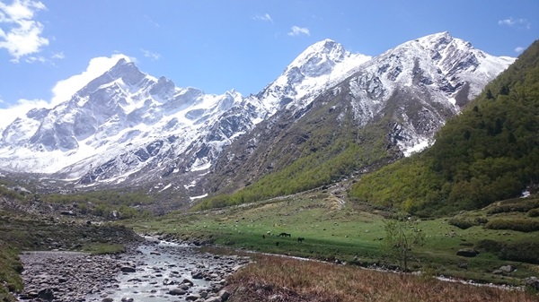 The Hidimba Devi Temple in Manali