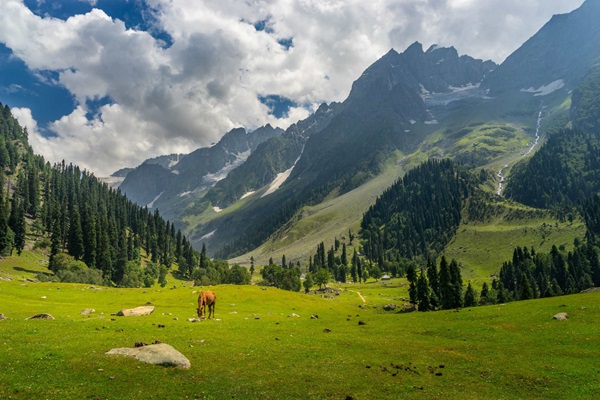 A scenic view of Pahalgam
