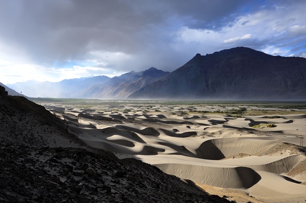 Double-humped camel safari in Nubra Valley