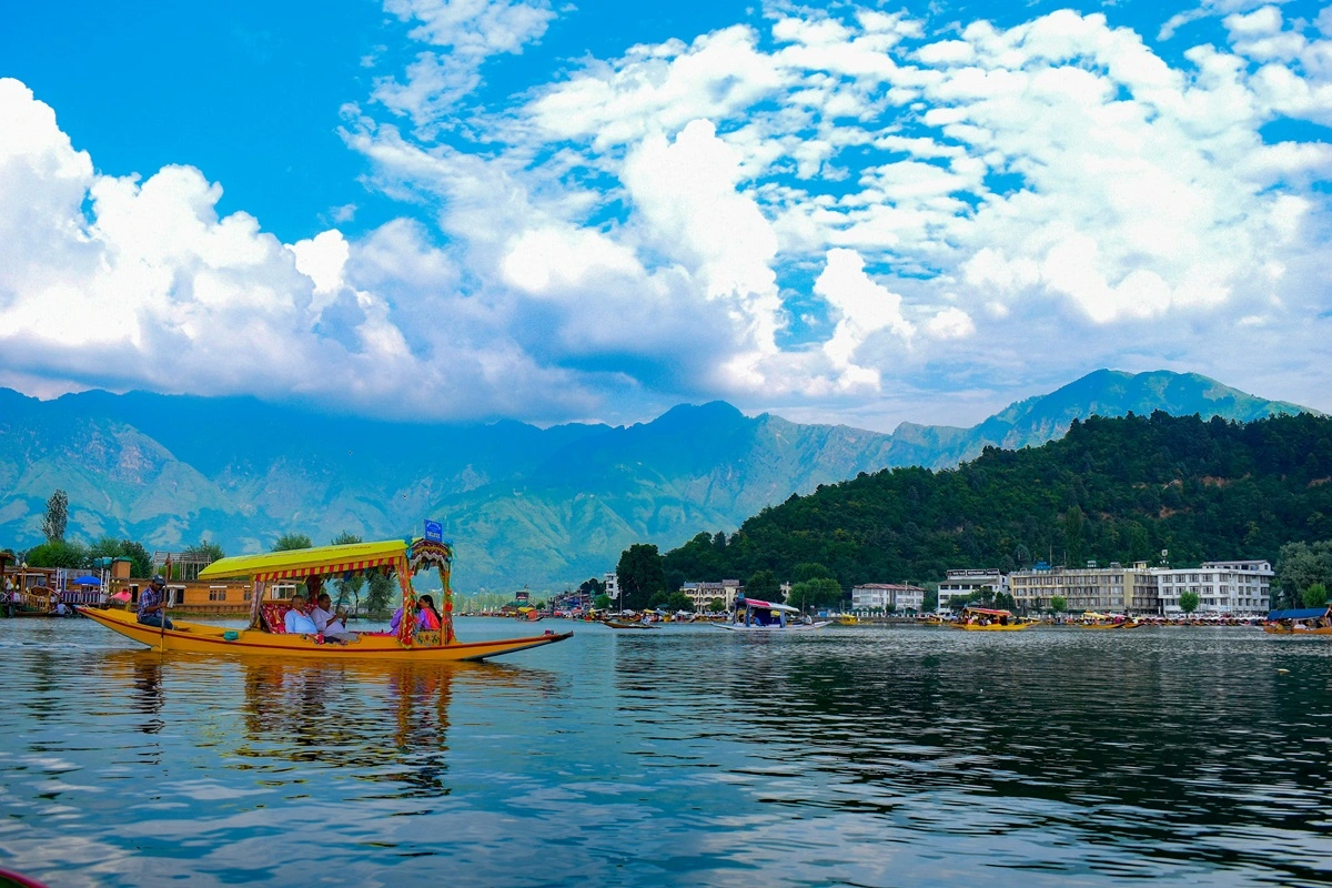 The serene Dal Lake with shikaras in Srinagar, Kashmir