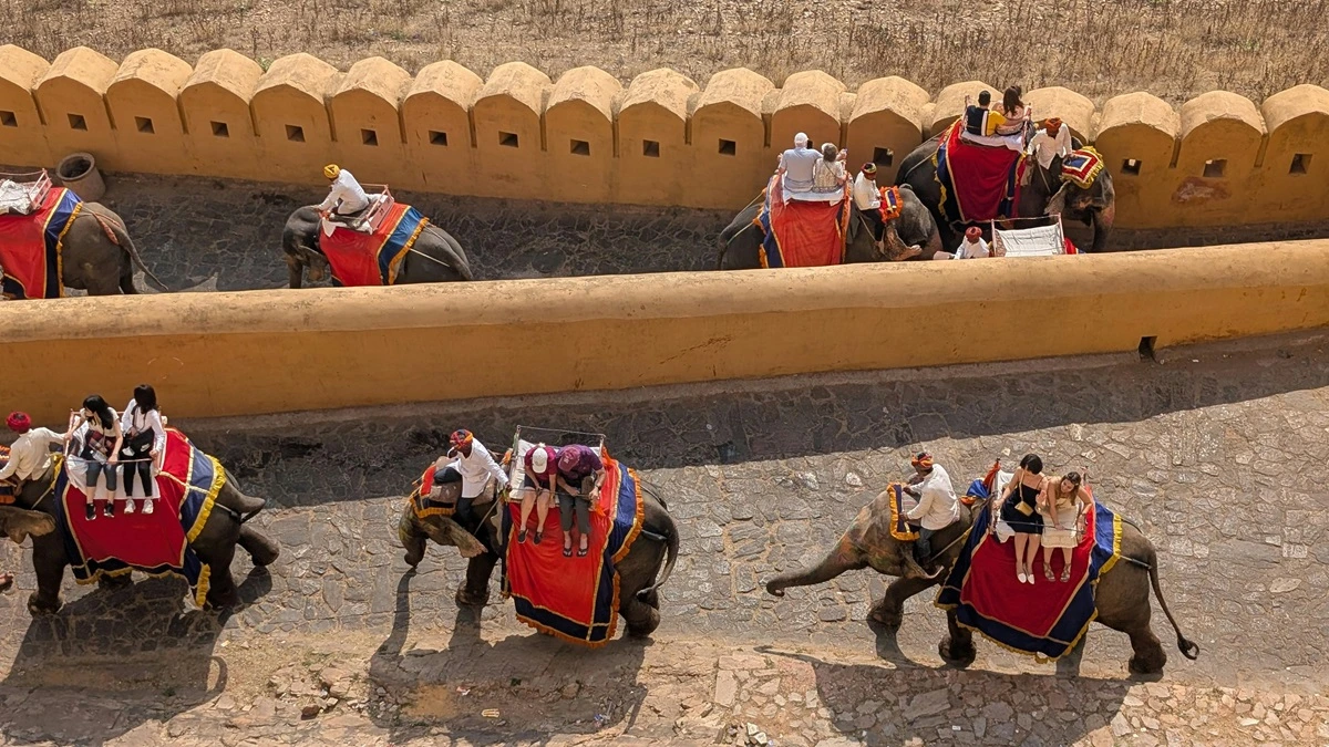 A camel safari in the golden sands of the Thar Desert in Jaisalmer