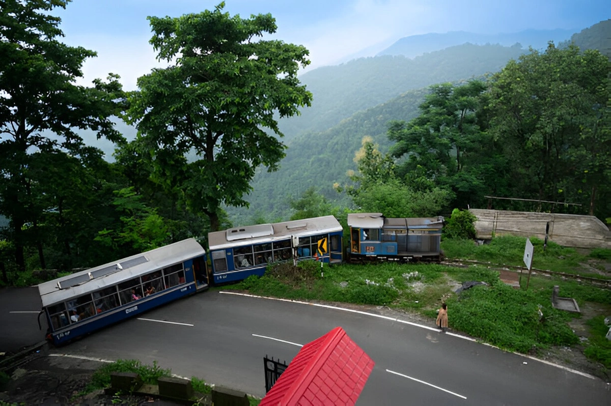 The famous Darjeeling Toy Train passing through tea gardens