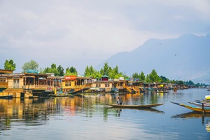 A shikara ride on Dal Lake