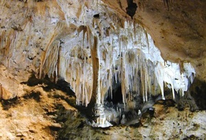 Limestone caves in Baratang