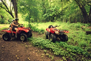ATV Quad Bike ride through rice fields