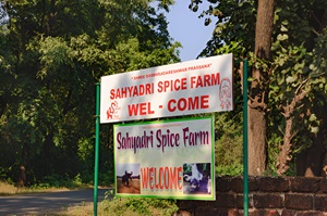 A visit to a spice plantation in Goa