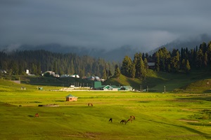 The scenic landscapes of Sonmarg