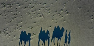 Nubra Valley and its unique sand dunes