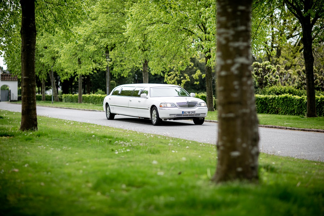 Luxurious Limousine Ride