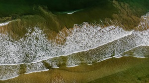 Bentota Beach and River