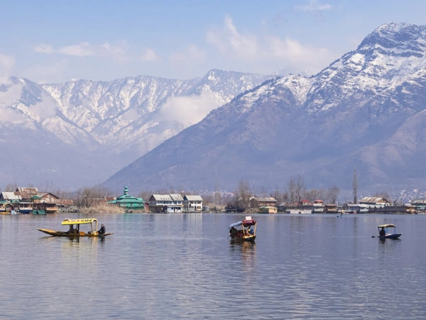 Shikara boats on Dal Lake, Kashmir