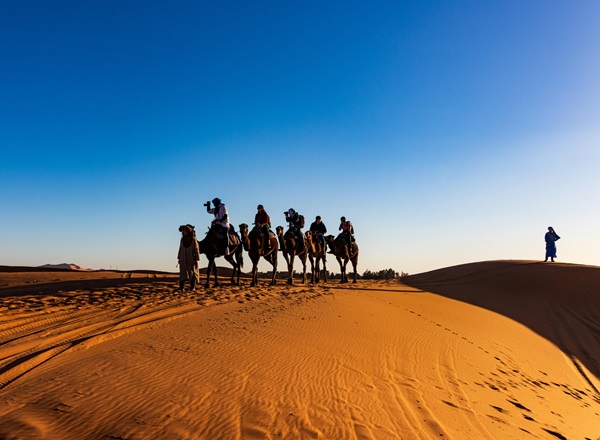 A camel safari in the deserts of Jaisalmer